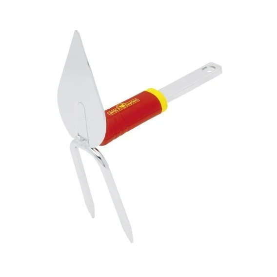 edukamp-1202606101018373531025