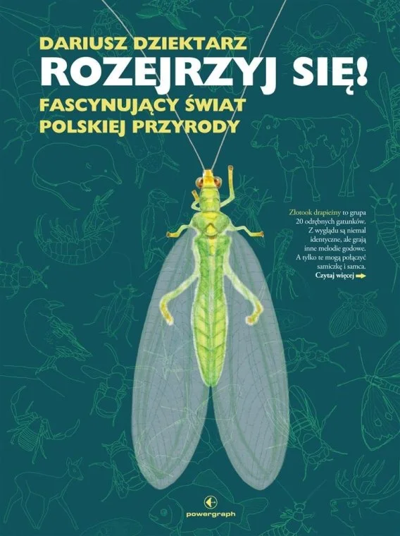 edukamp-1202606110307033649411