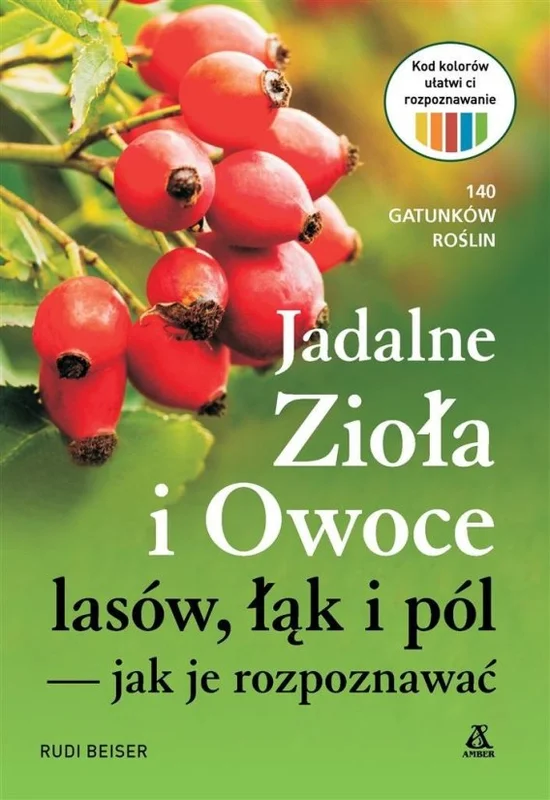 edukamp-1202606111216449639