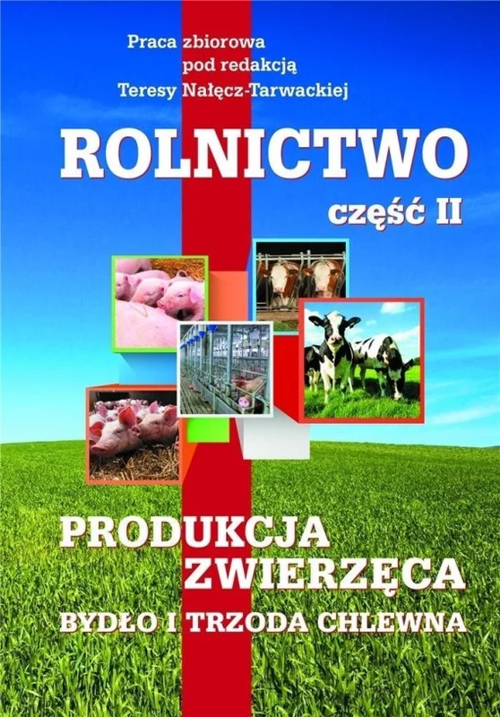 edukamp-12026061121580149981
