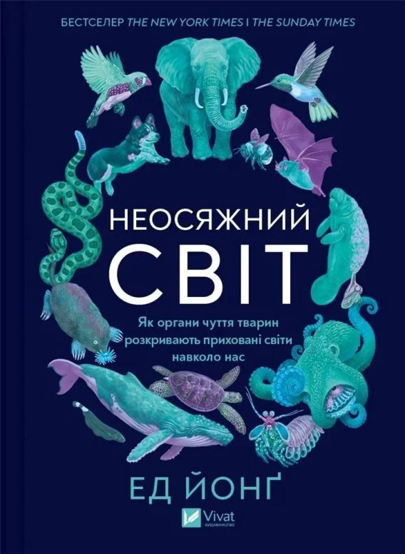 edukamp-12026061123095154330