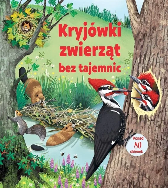 edukamp-12026061200384860142