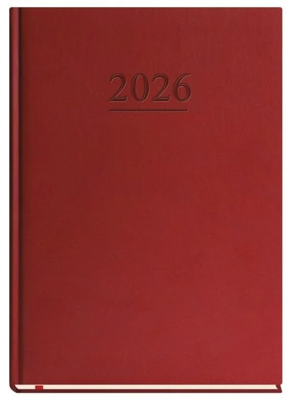 edukamp-120260612165309130443