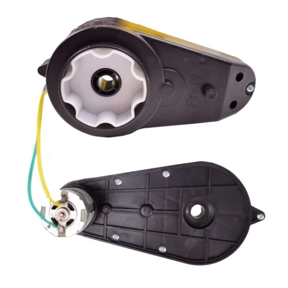 edukamp-120260614161743430955