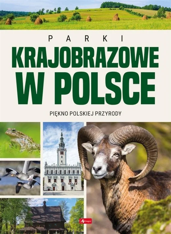 edukamp-120260615135643523656