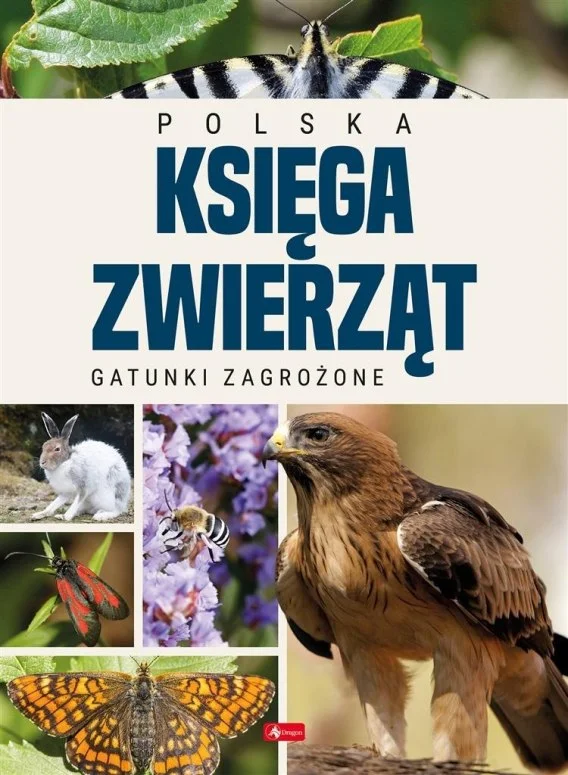 edukamp-120260615191526548516