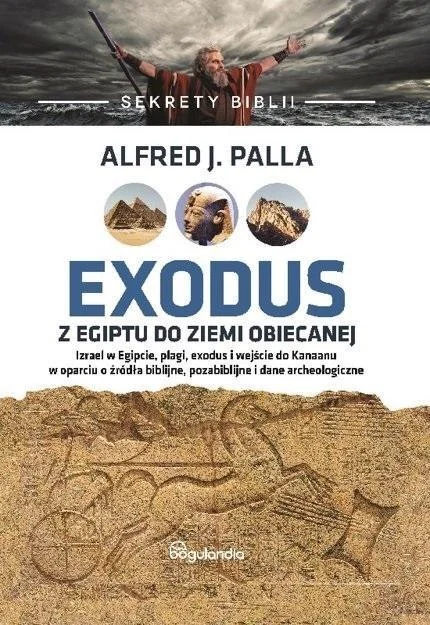 edukamp-120260615205147552128