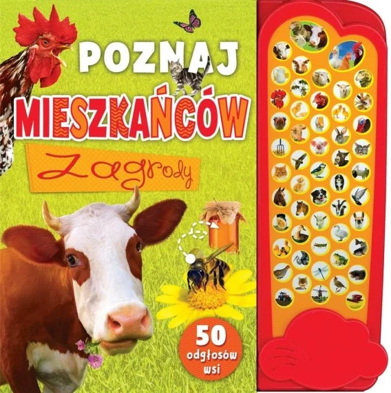 edukamp-120260615224353554725