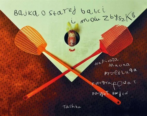 edukamp-2202606102044543626037