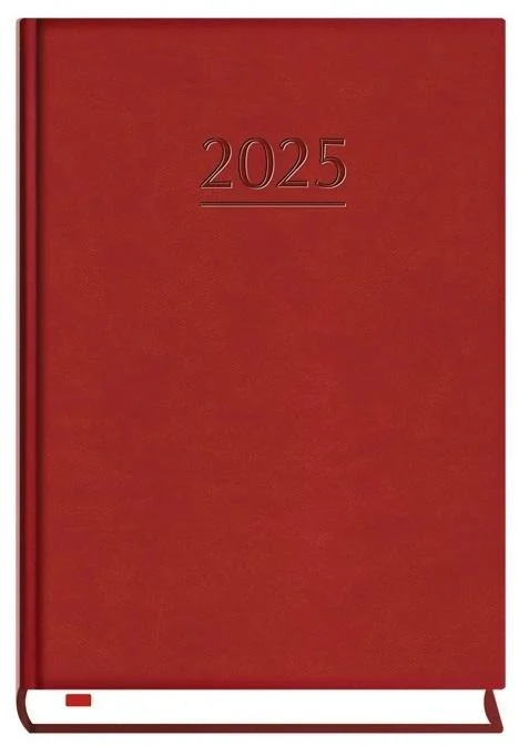 edukamp-2202606102157383630621