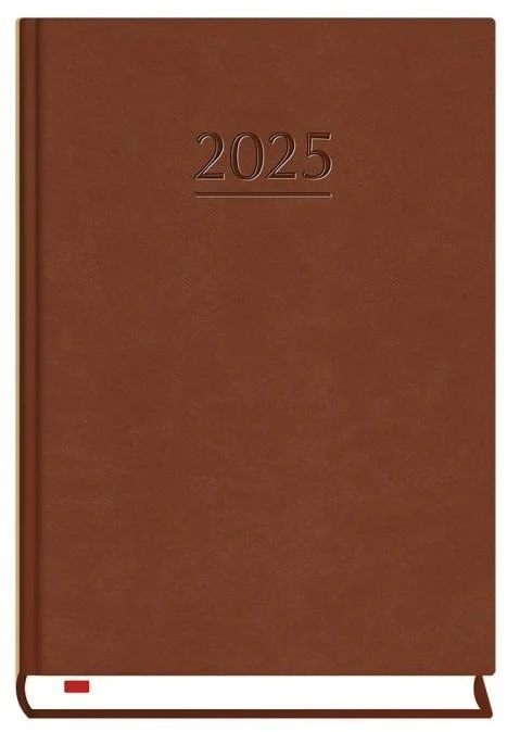 edukamp-2202606102157533630634