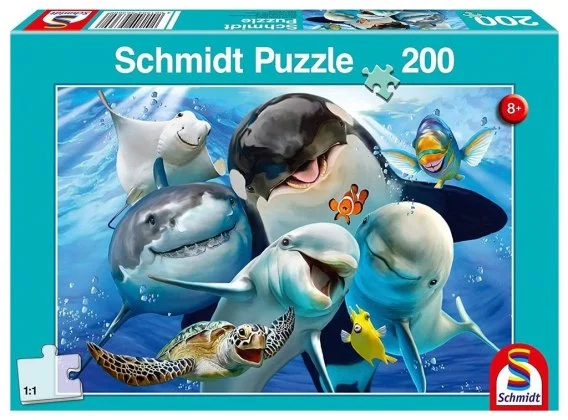 edukamp-2202606110323553650467