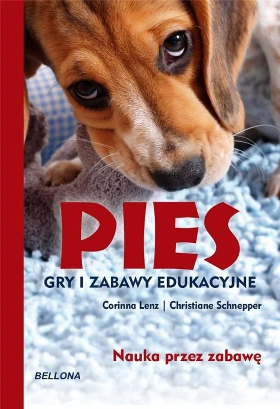 edukamp-2202606110614443660986