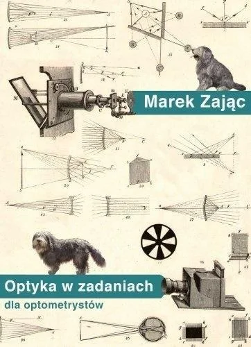 edukamp-22026061115263923074