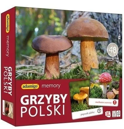 edukamp-22026061116403228471