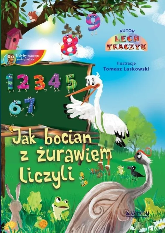 edukamp-22026061120093143333