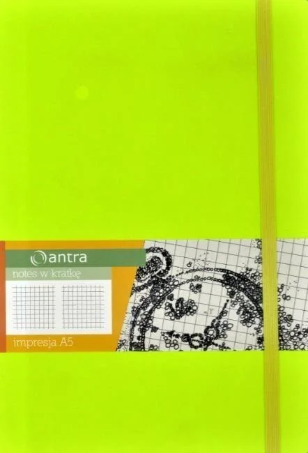 edukamp-22026061120194943970