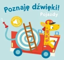 edukamp-22026061120593646475