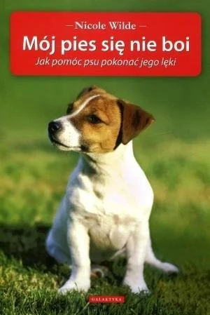 edukamp-22026061200201958771