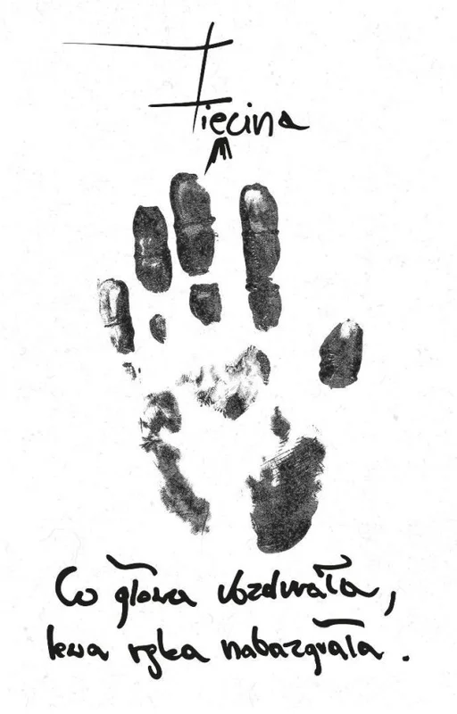 edukamp-22026061200511361032