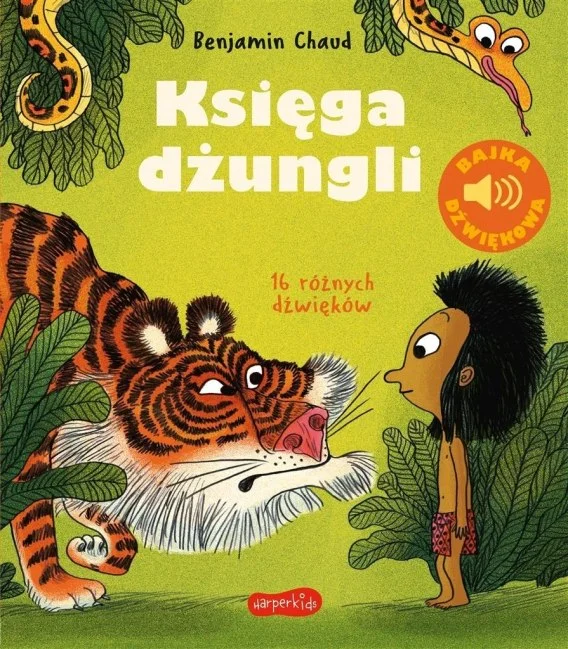 edukamp-22026061203250172206