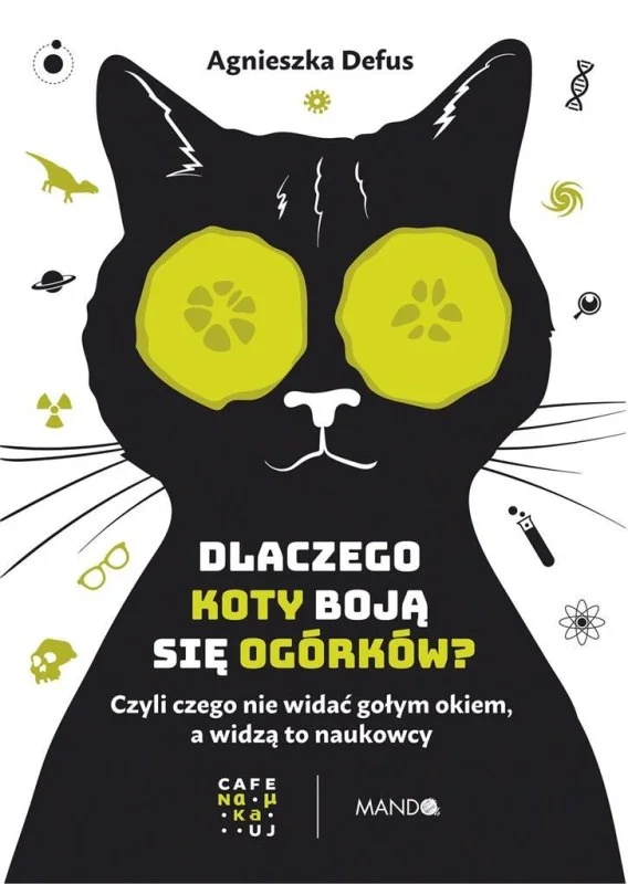 edukamp-22026061204115475632