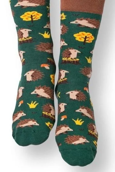 edukamp-22026061208421690634