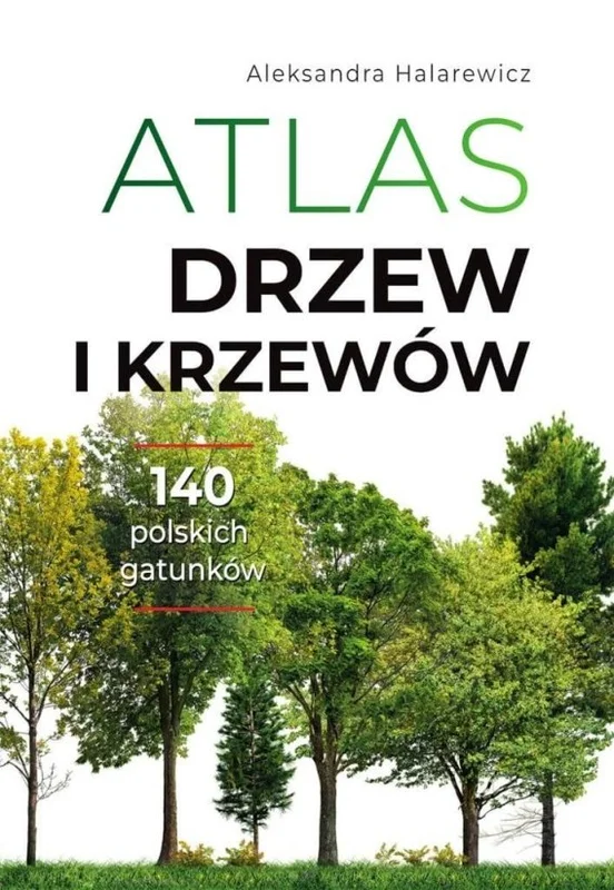 edukamp-220260612114125112791