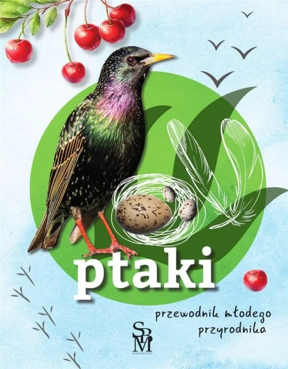 edukamp-220260612114237112929