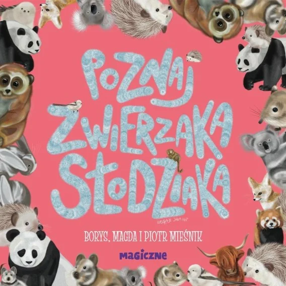 edukamp-220260612121313116056