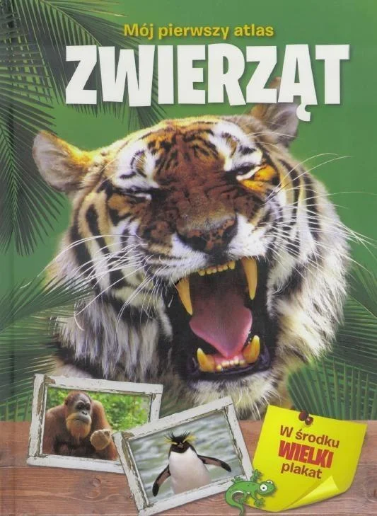 edukamp-220260612131038119536