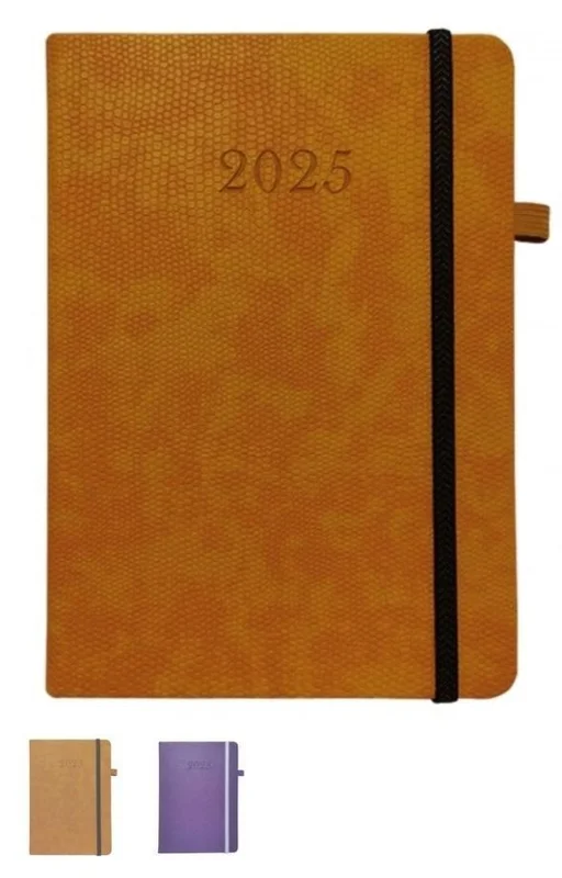 edukamp-220260612233306188297
