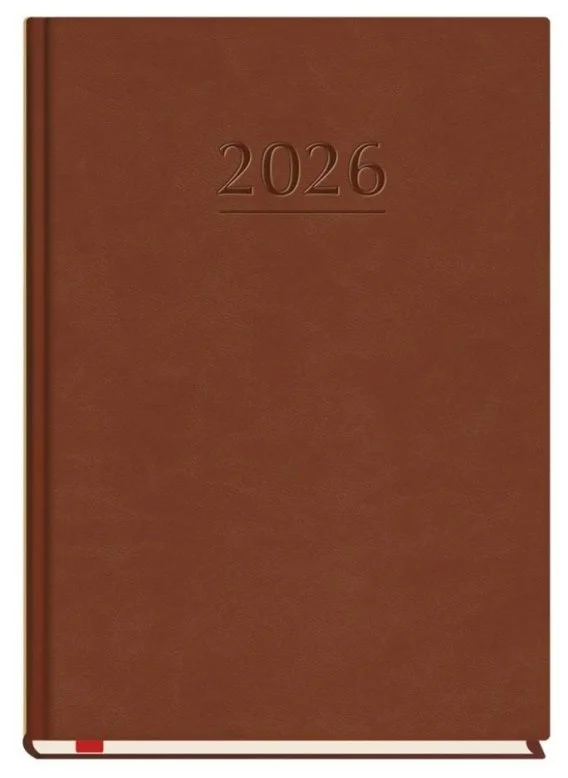 edukamp-220260613015737209278