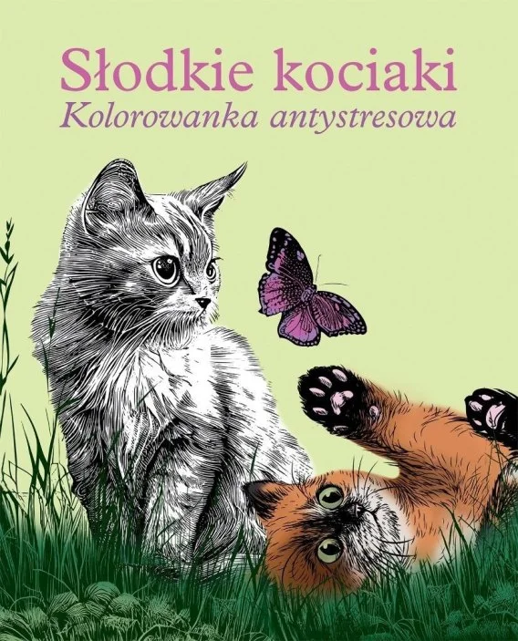 edukamp-220260613025534215739