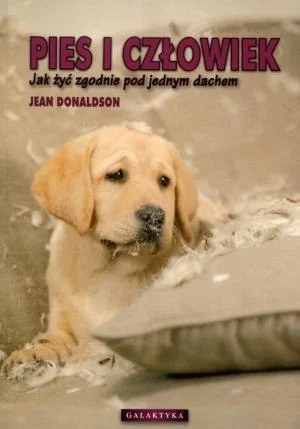 edukamp-220260613081537247101