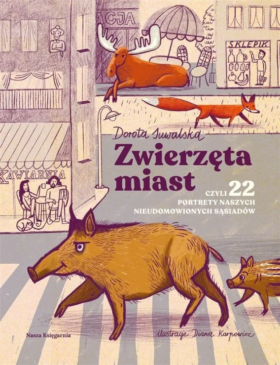 edukamp-220260613120139257159
