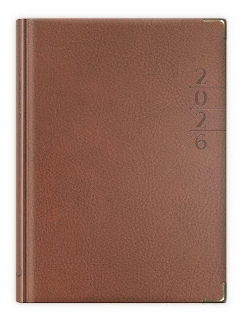 edukamp-220260613143623271744