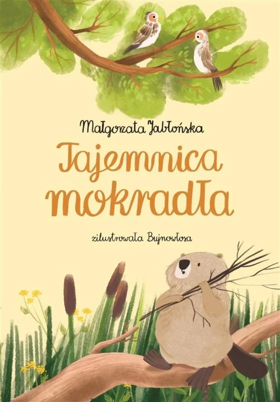 edukamp-220260613145205272675