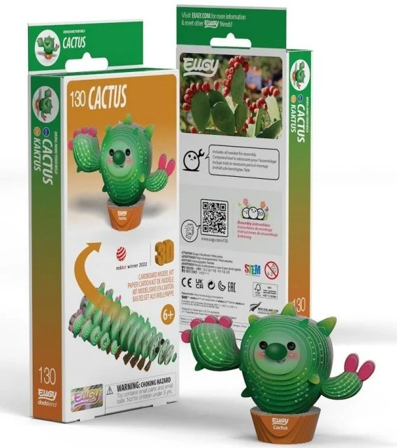 edukamp-220260613233413343387