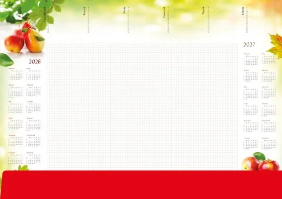 edukamp-220260614023008362269