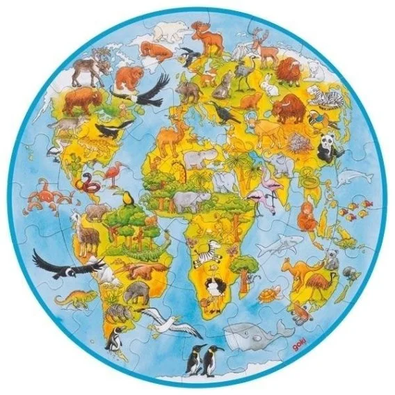 edukamp-220260614054620377187