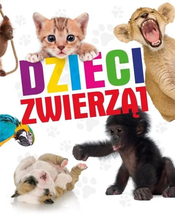 edukamp-220260614095103387659