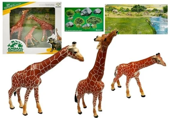 edukamp-220260614151205415747