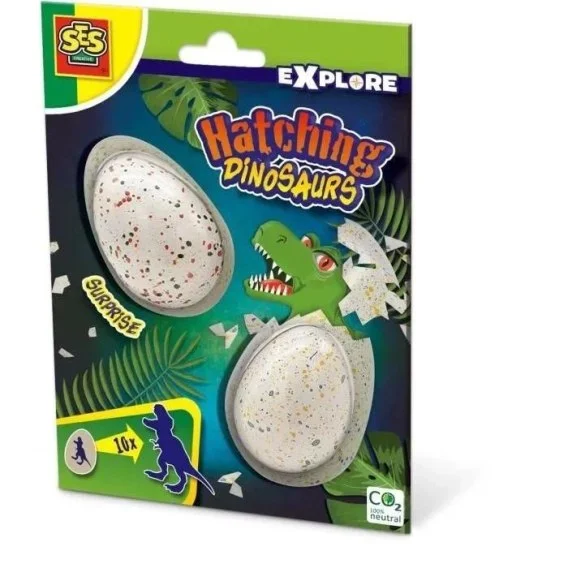 edukamp-220260614201209469678