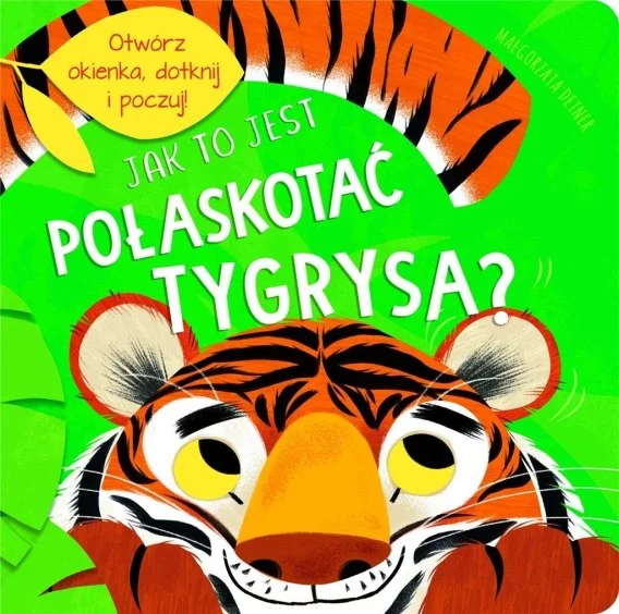 edukamp-220260614211952476718