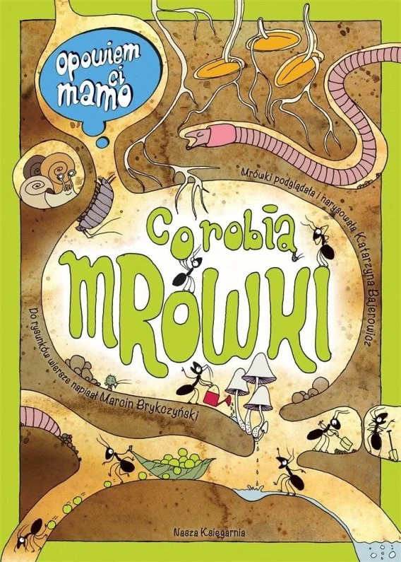 edukamp-220260614220921481617