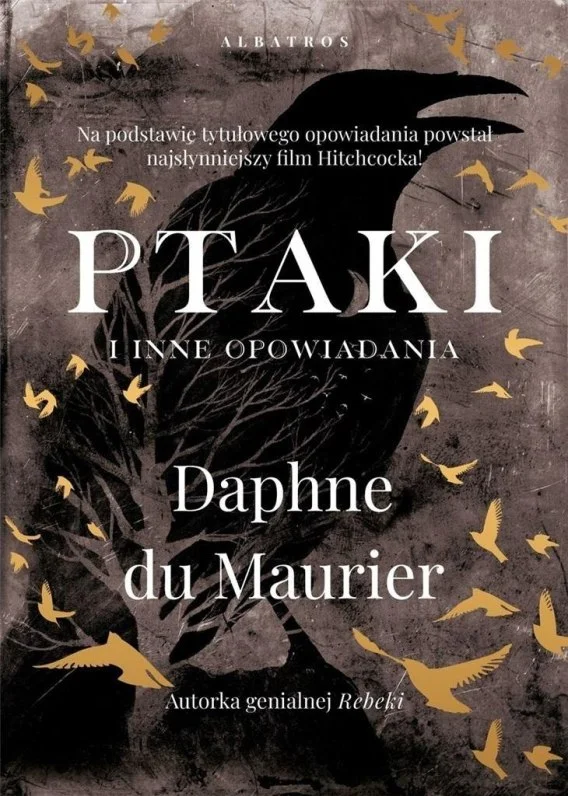 edukamp-220260615121713520341