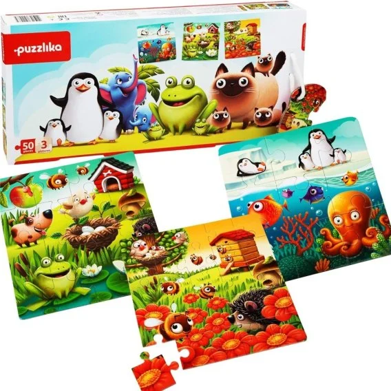 edukamp-220260615130502521932