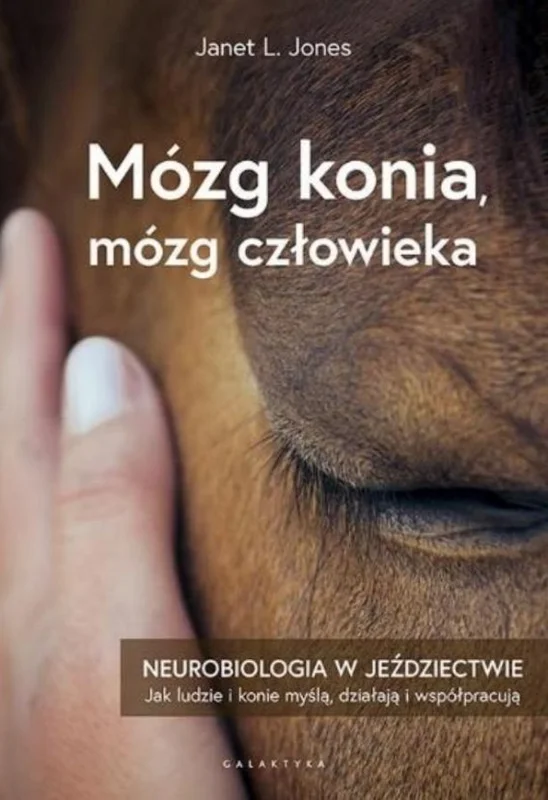 edukamp-220260616001444556996