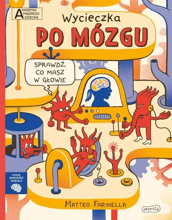 edukamp-3202606101750513604006